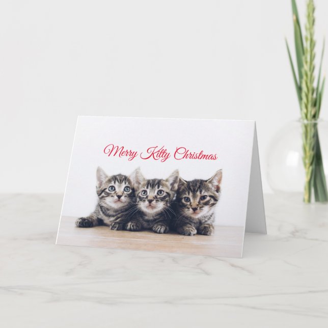 Carte Noël à Cute Kittens (Devant)