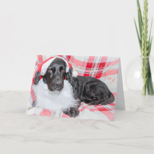 Carte Noël Bah Humbug