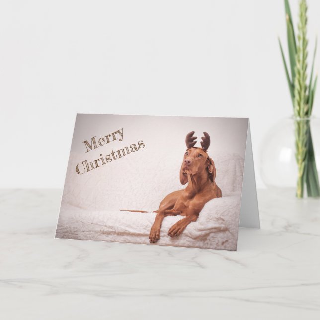 Carte Noël / Carte Noël "Magyar Vizsla" (Devant)