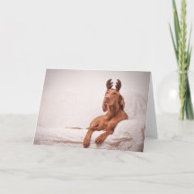 Carte Noël / Carte Noël "Magyar Vizsla"