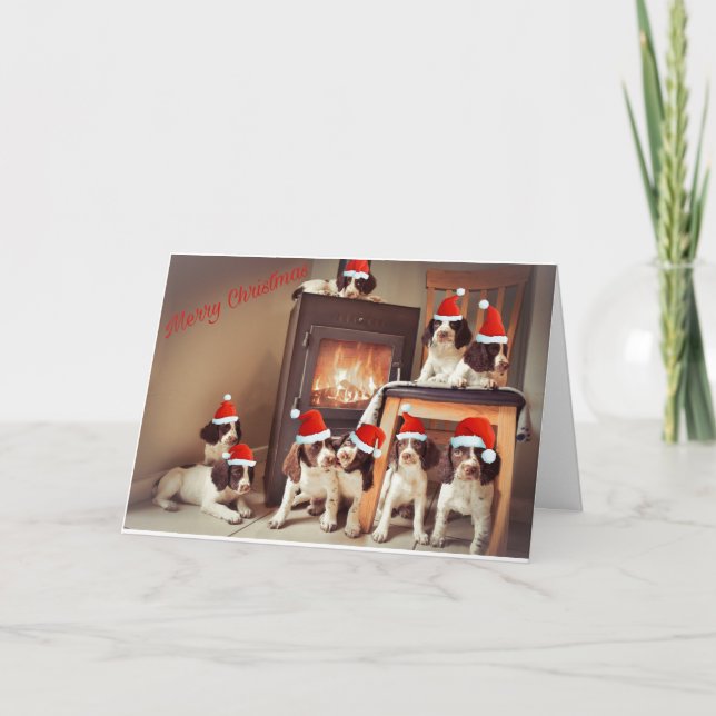Carte Noël chiot Springer (Devant)