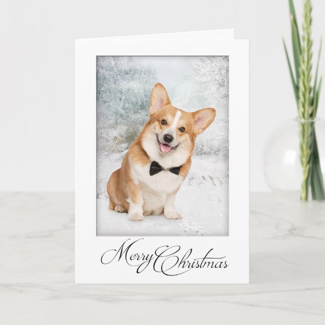 Carte Noël Corgi (Devant)