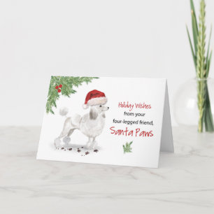 Carte Noël de caniche blanche de chien dans Funny Santa