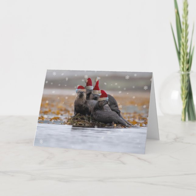 Carte Noël de la famille Otter (Devant)