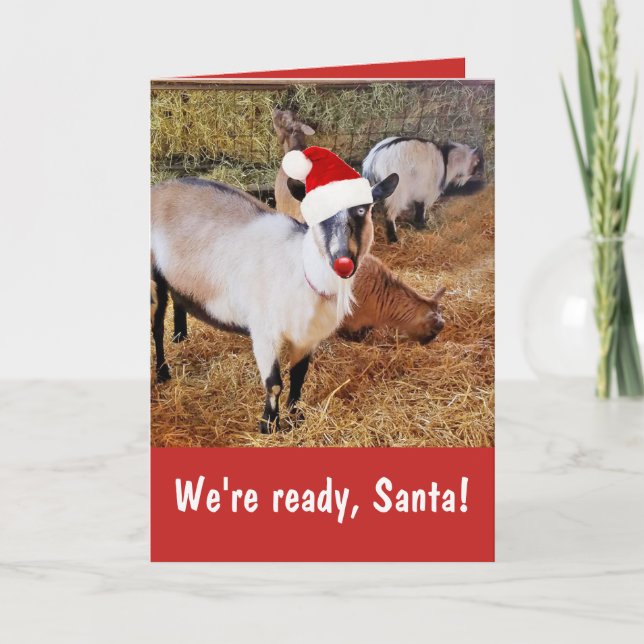 Carte Noël drôle Père Noël chèvres (Devant)
