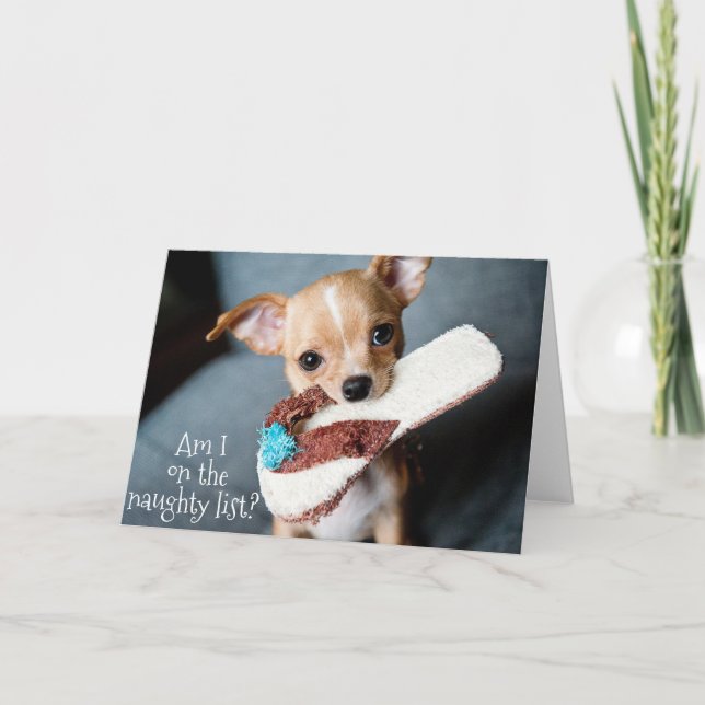 Carte Noël du Chihuahua Chiuppy mignon (Devant)