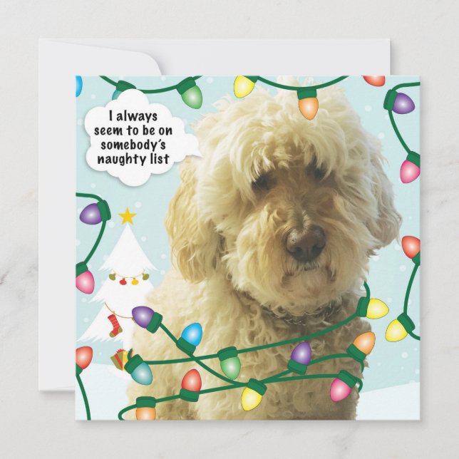 Carte Noël Goldendoodle, Fun Doodle (Devant)