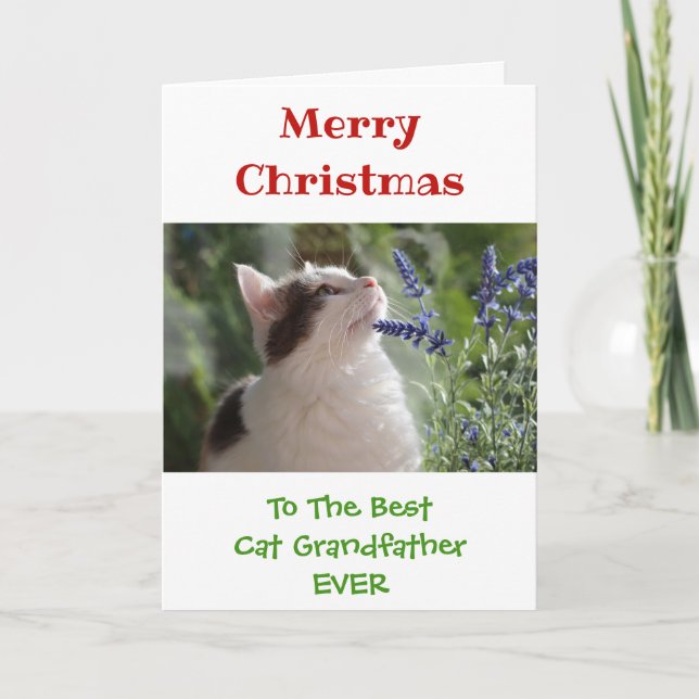 Carte Noël Meilleur Chat Grand-Père Jamais Photo (Devant)