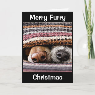 CARTE NOËL POUR CHIEN/GROOMER DE CHIEN/VÉTÉRINAIRE/PLUS
