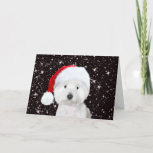 Carte Noël Westie