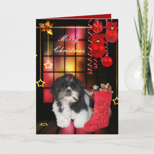 Carte Noël Xmas Chien Shitzu Chiot