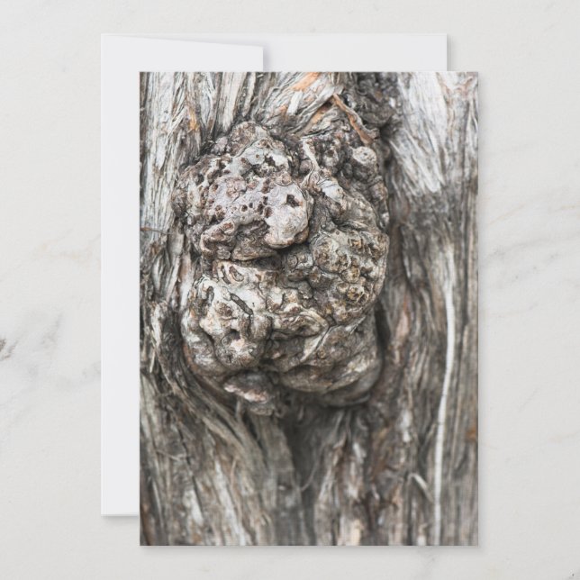 Carte Noeud du tronc d'arbre (Devant)