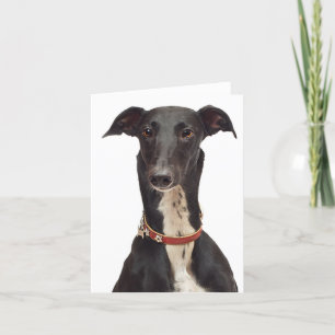 Carte Noir & Blanc Greyhound Chien Chien Chien Bla