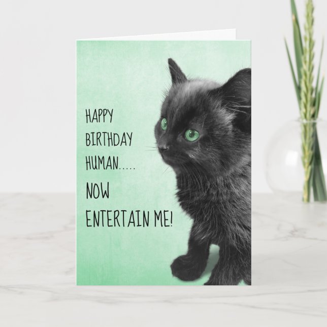 Carte Noir Fumée Kitten (Devant)