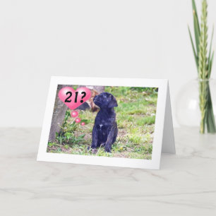 CARTE NOIR LAB PUPPY DIT : "JOUISSONS DU 21E ANNIVERSAIR