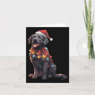 Carte Noir Labrador Retriever Santa Hat Christmas Light