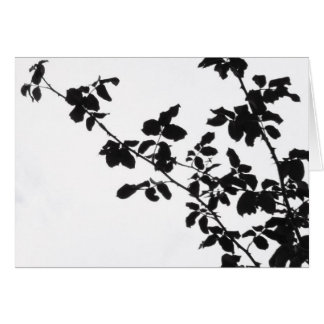 Carte noire de branches