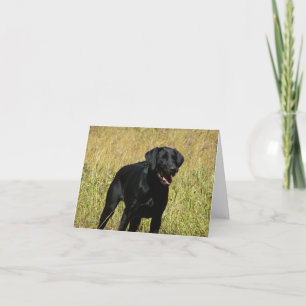Carte Noire de note blanche pour Chien de Chien de