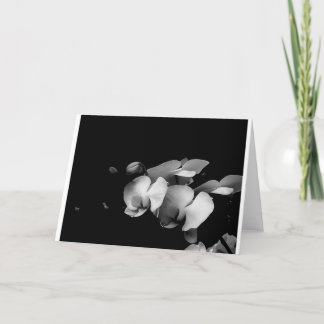 Carte noire et blanche de branche d'orchidée