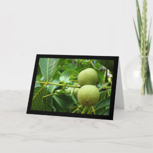 Carte Noix dans le feuillage vert