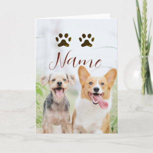 Carte nom animal de compagnie chien chat patte simple ph