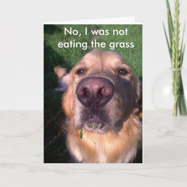 Carte Non, je n'étais pas (Devant)