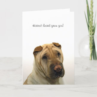 Carte N'ont pas eu de vos nouvelles