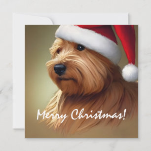 Carte Norfolk Terrier Noël