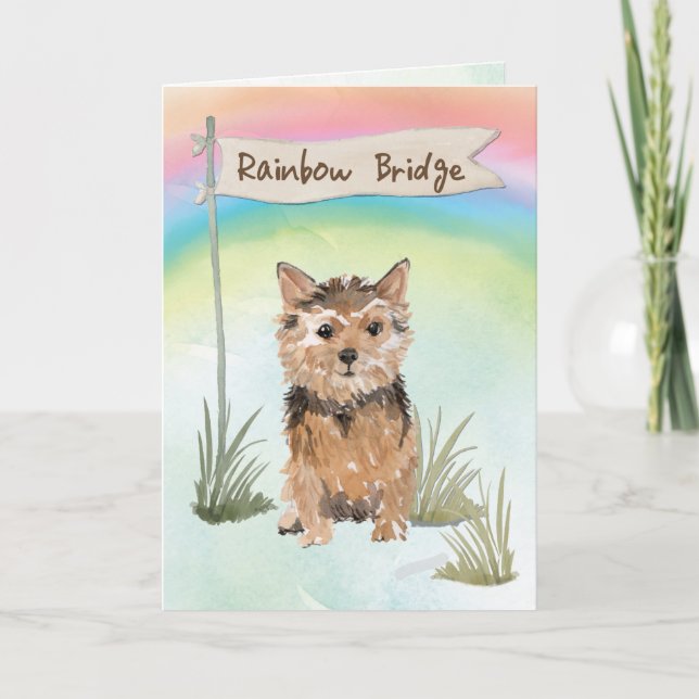 Carte Norfolk Terrier Sympathie des animaux de compagnie (Devant)