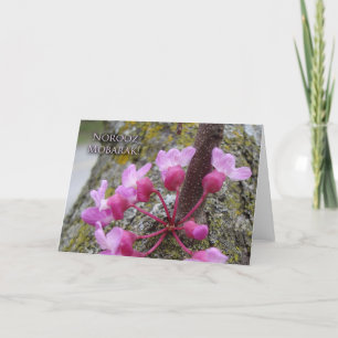 Carte Norooz, Redbud Tree in Bloom, photo de printemps