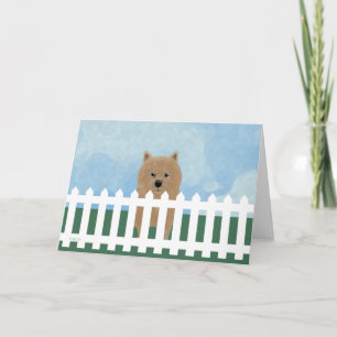 Carte Norwich Terrier