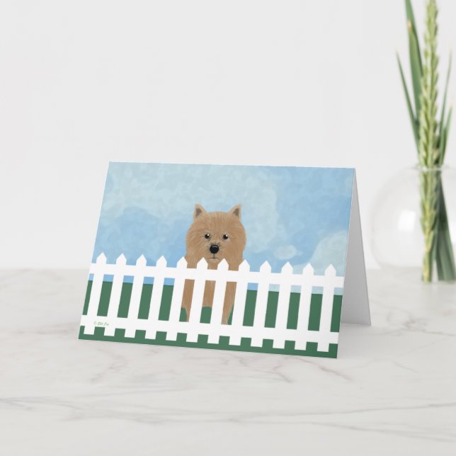 Carte Norwich Terrier (Devant)