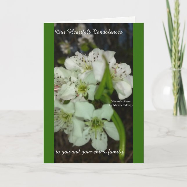 Carte Nos condoléances sincères (Devant)