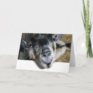 Carte Nosy Goat En Regard