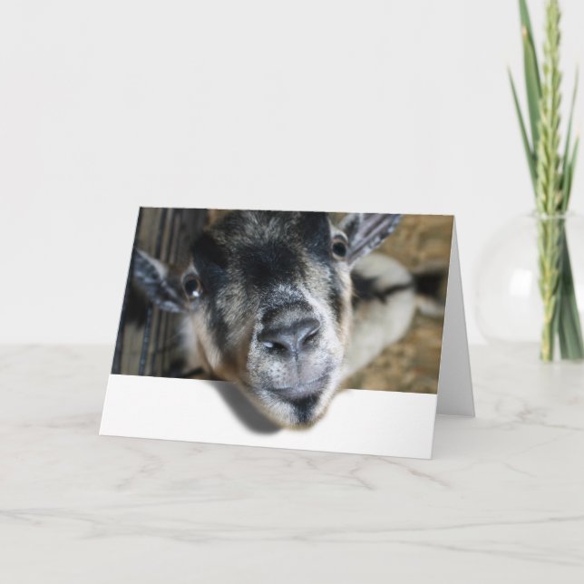 Carte Nosy Goat En Regard (Devant)