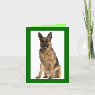 Carte Nota Blair Chien Chien Chien Chien Chien All