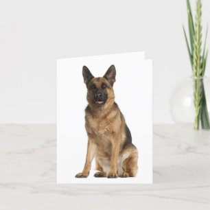 Carte Nota Blair Chien Chien Chien Chien Chien All