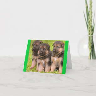Carte Nota Blair Chien Chien Chien Chien Chien All