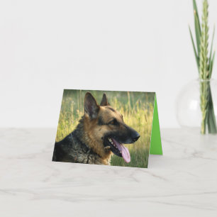 Carte Nota Blair Chien Chien Chien Chien Chien All