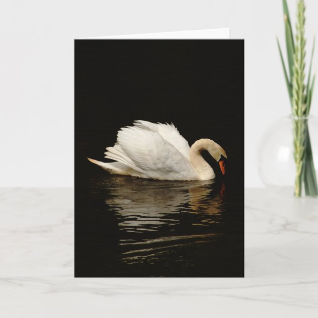 Carte Nota blanche avec Beau Cygne (Devant)