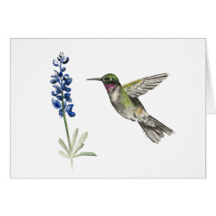 Carte Nota Bluebonnet Hummingbird et Bluebonnet