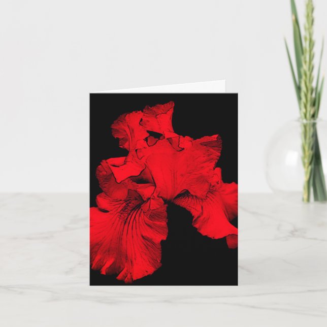Carte Nota Rouge Hot Iris Flower Art Blair (Devant)