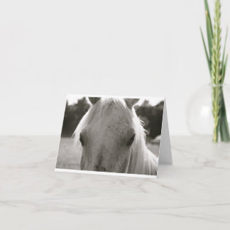 Carte Note blanche du cheval blanc