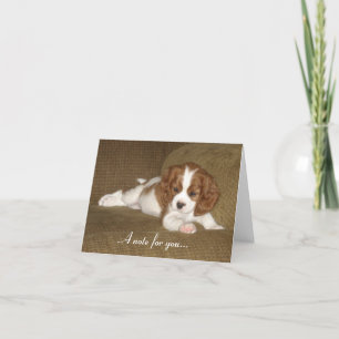 Carte Note Card