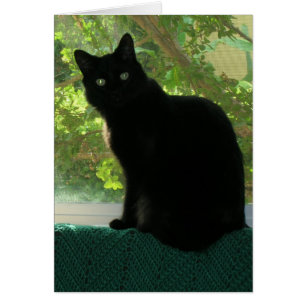Carte - Note - Chat noir dans la fenêtre