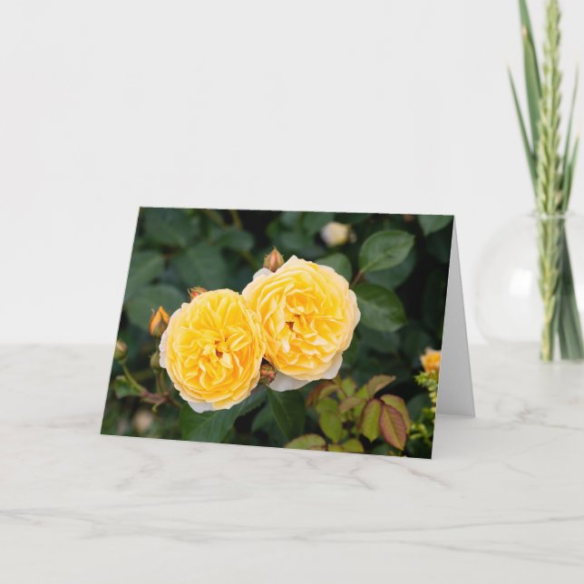 Carte Note Roses jaunes (Devant)