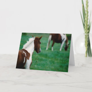 Carte Notecard_Horses vide frôlant en été