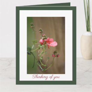 Carte Notre sympathie la plus profonde