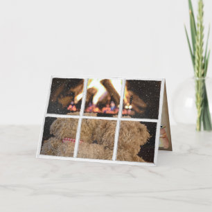 Carte nounours par anniversaire au foyer