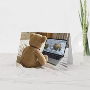 Carte Nounours regardant un grizzly sur un ordinateur po